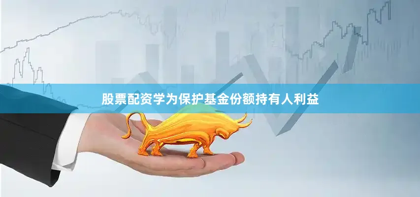 股票配资学为保护基金份额持有人利益
