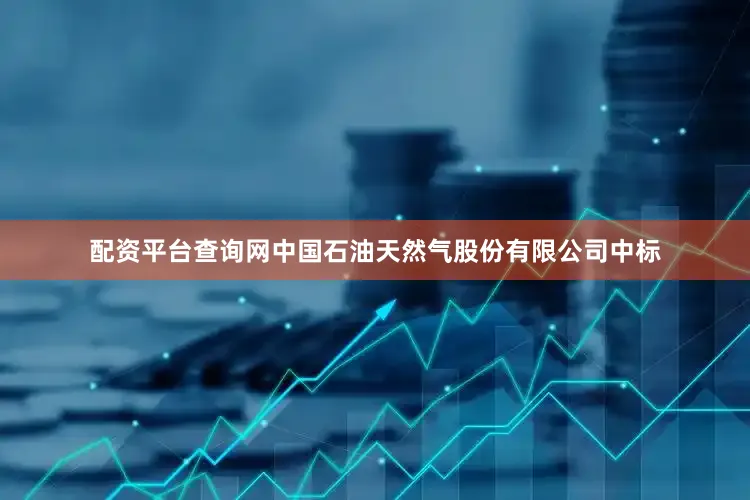 配资平台查询网中国石油天然气股份有限公司中标