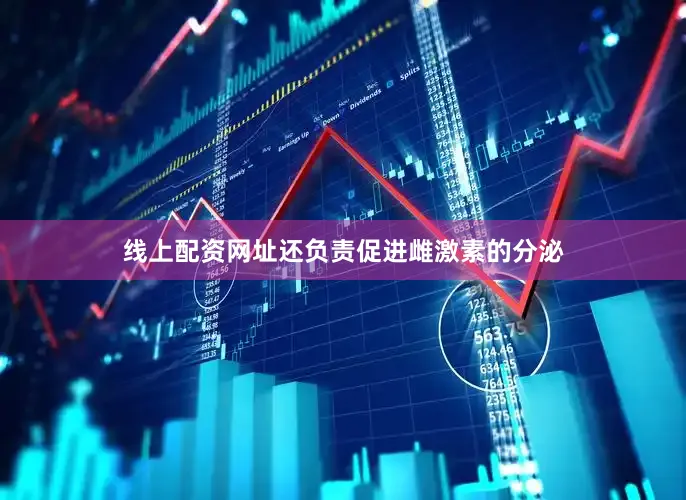 线上配资网址还负责促进雌激素的分泌