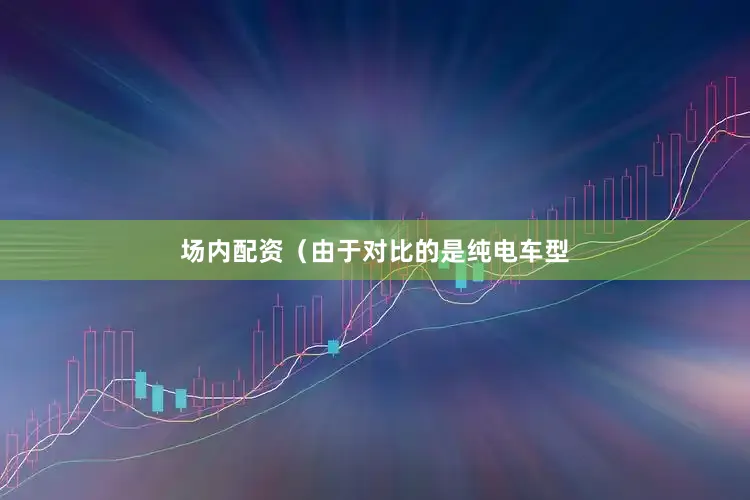场内配资（由于对比的是纯电车型